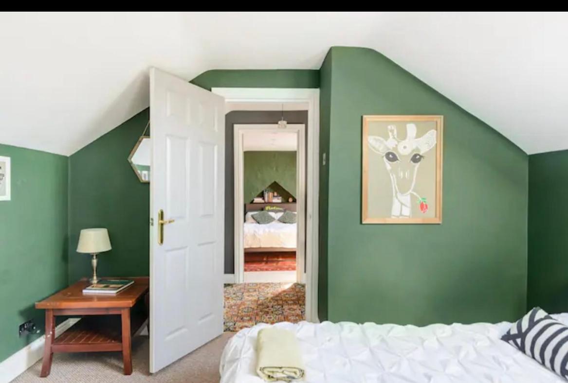 Gorgeous Homestay Belfast Kültér fotó